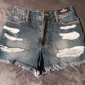 Brand New Hollister Vintage Relaxed Mom Short